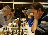 ChessOrg Bild